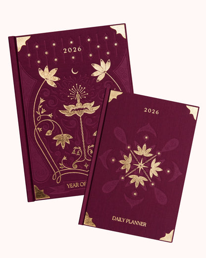 2026 Dreamy Bundles