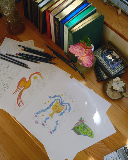 8 Colour in Designs