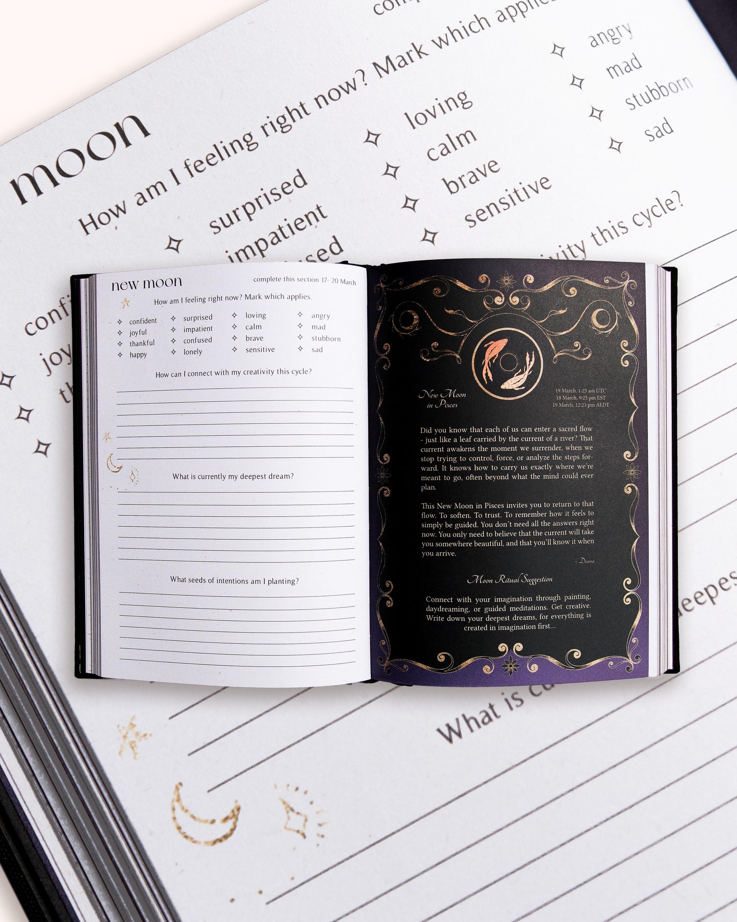 2026 Year of Growth Book