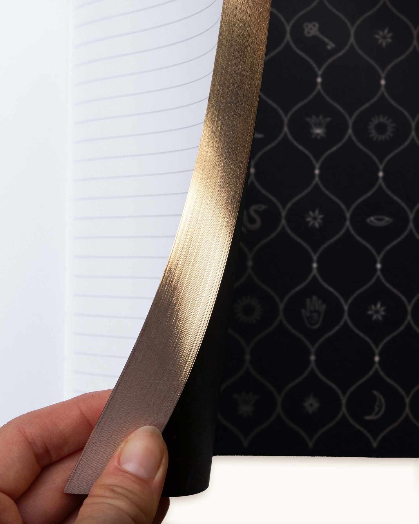 Dragon Journal - Wholesale