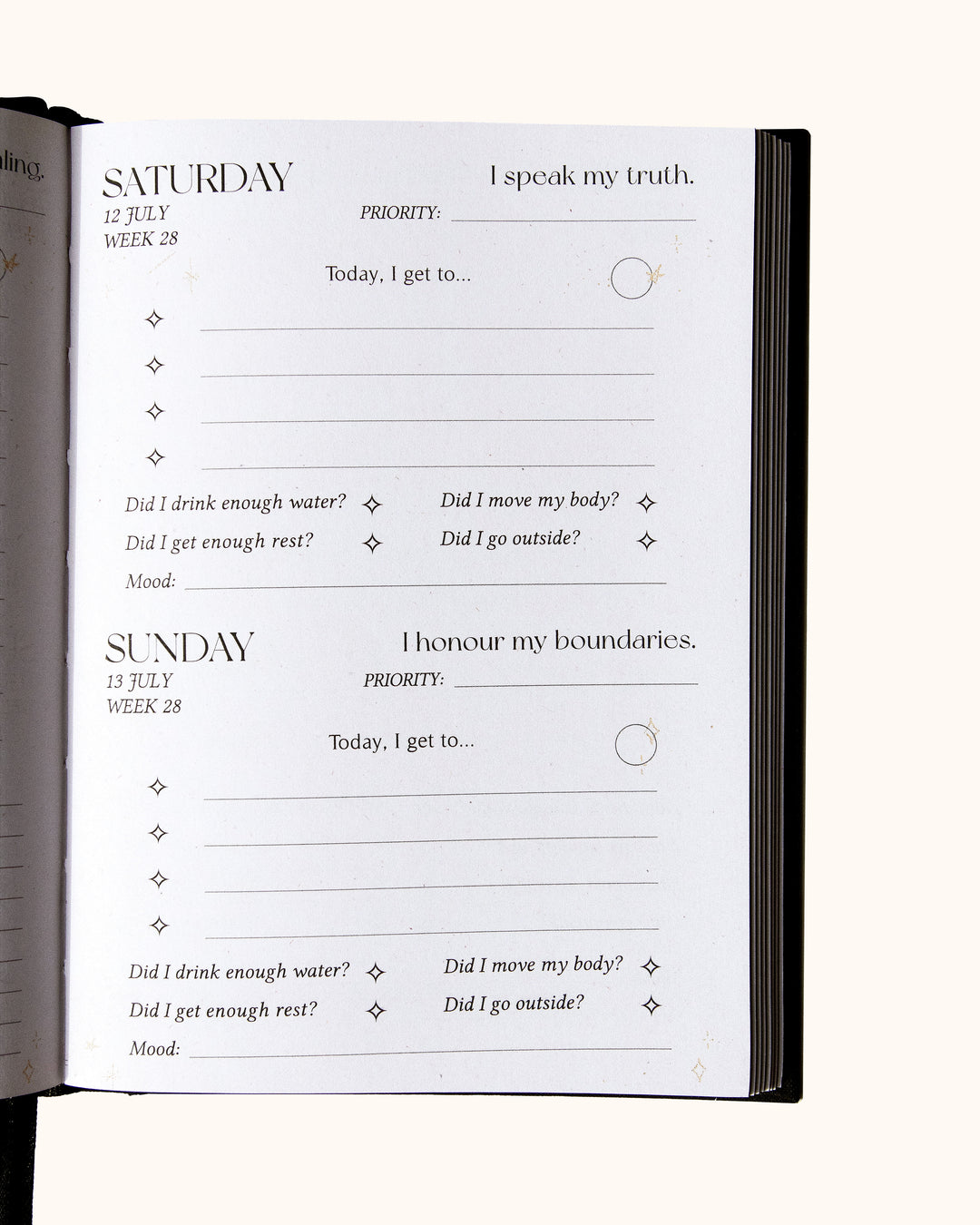 2025 Daily Planner