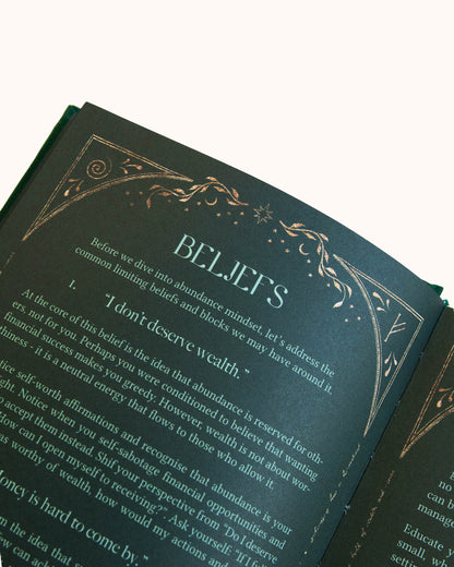Abundance Planner - Wholesale